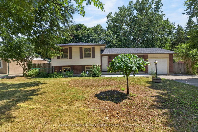 41 Amy Crescent, London East