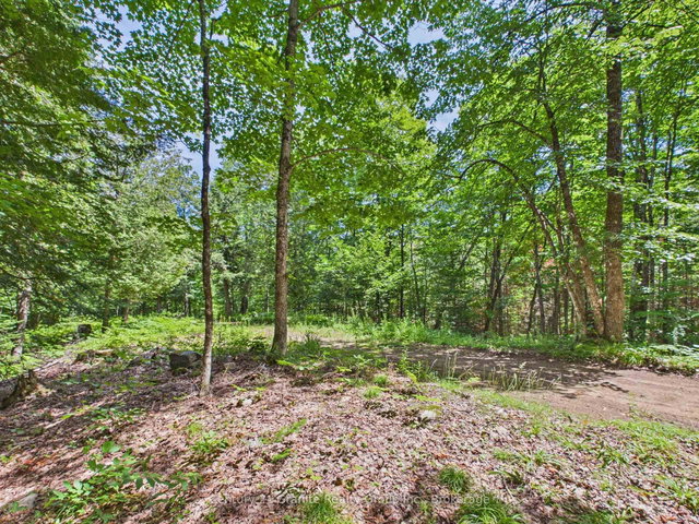1230 Old Donald Road