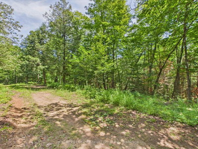 1230 Old Donald Road — more photos
