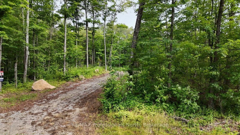 1199 Cedar Lake Road