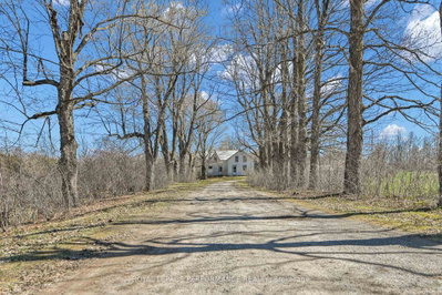 2421 Buckwheat Road