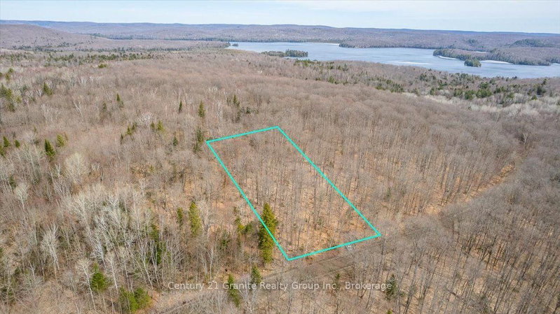 99 Forest View Road