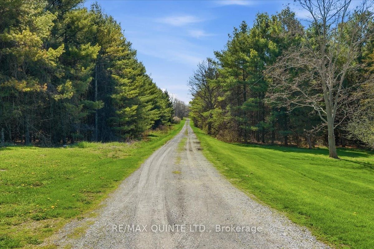1686 County Road 13 • Prince Edward County, ON photo 37