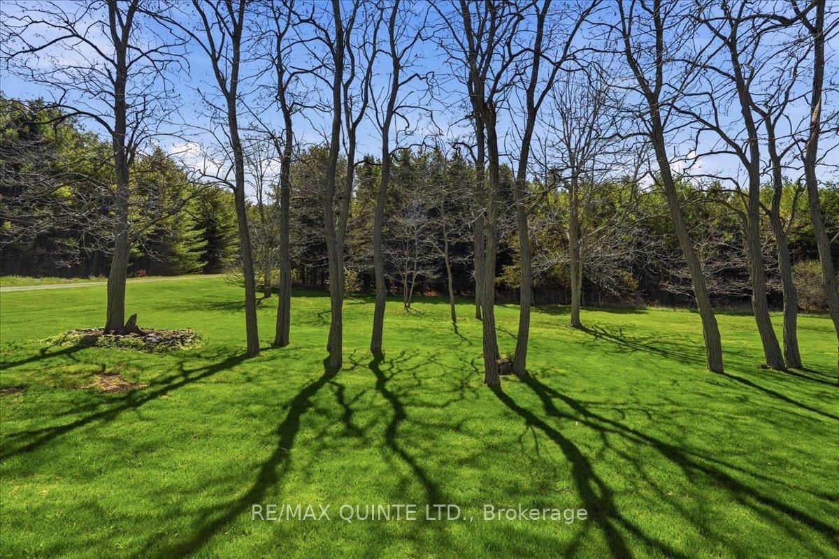 1686 County Road 13 • Prince Edward County, ON photo 38