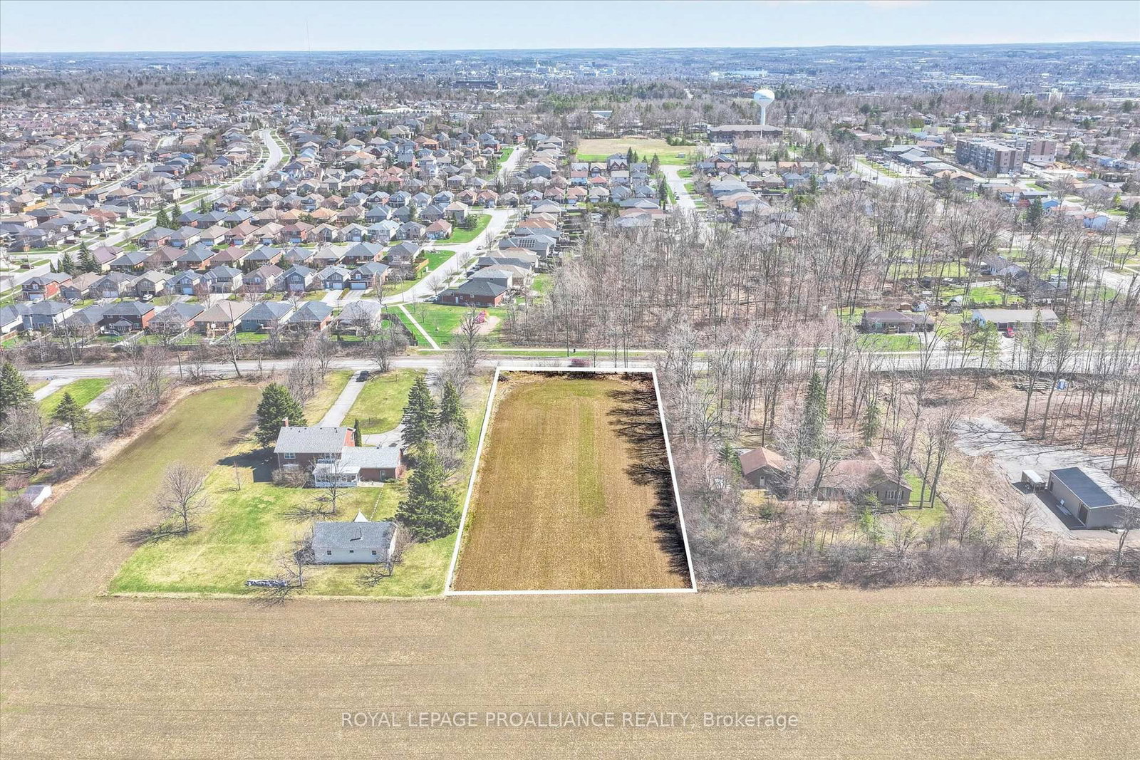 Listing Image 5