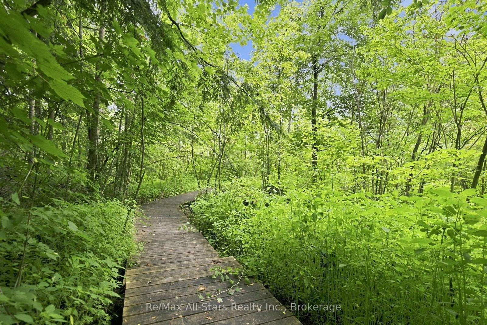 21671 Brunon Avenue • Kawartha Lakes, ON photo 30