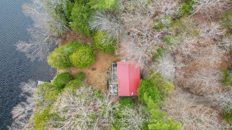 1107 PLUTO Trail