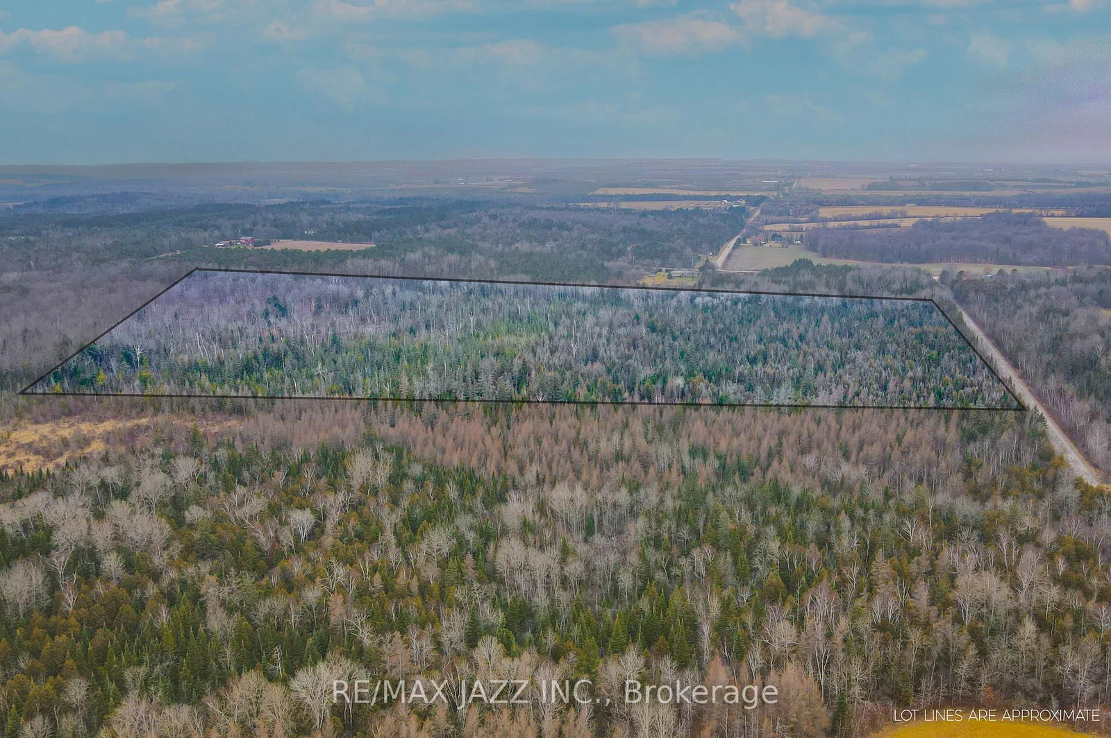 Listing Image 12