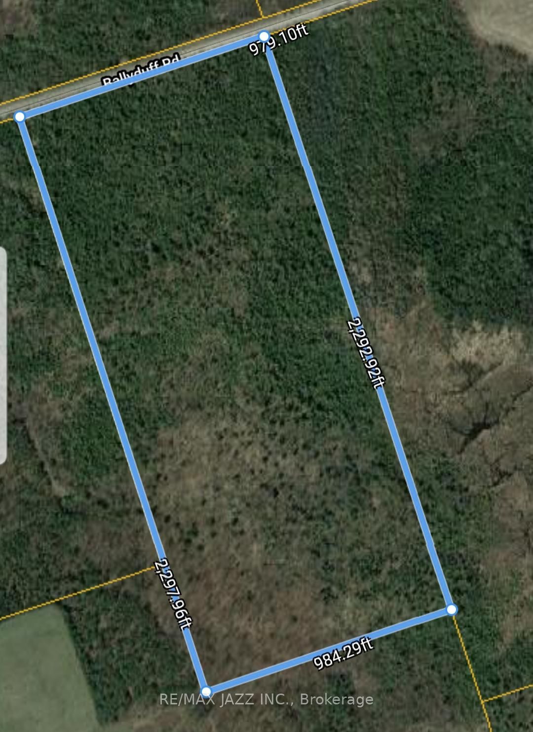 Listing Image 2