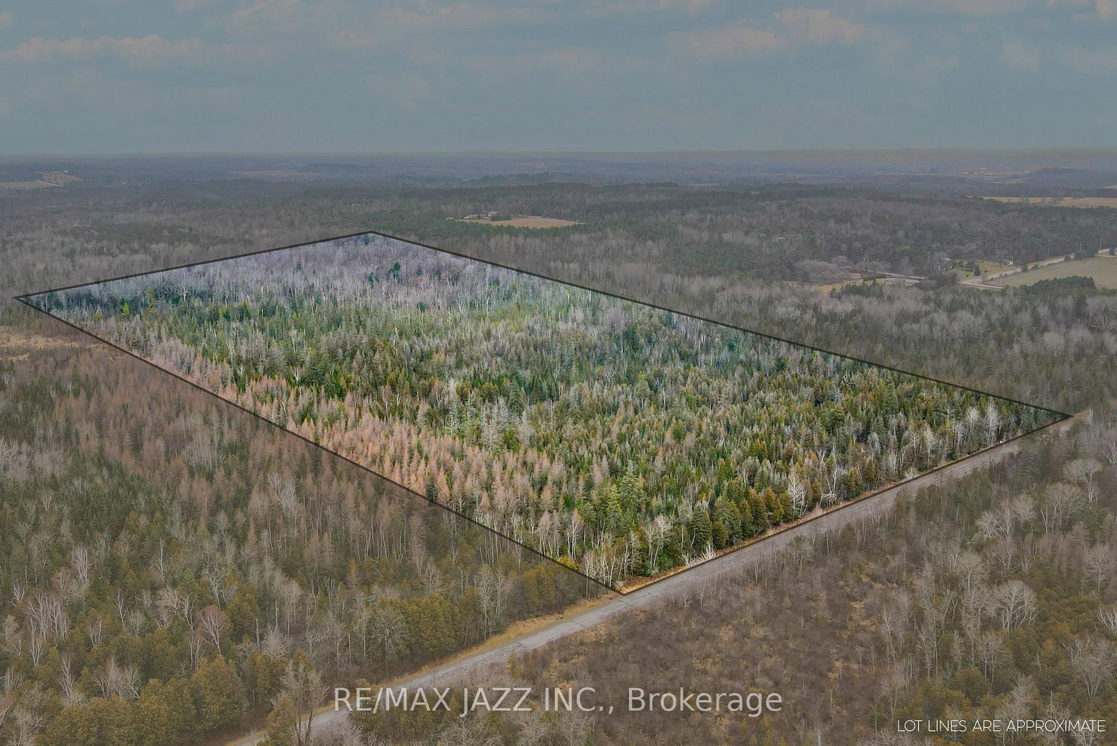 Listing Image 4