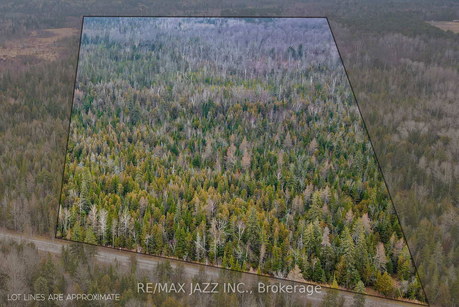 Listing Image 7
