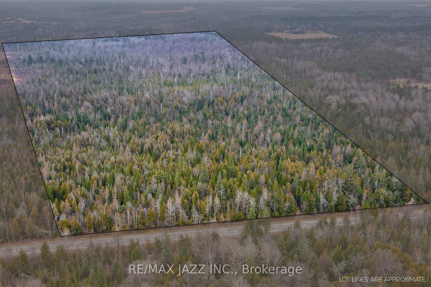 Listing Image 9