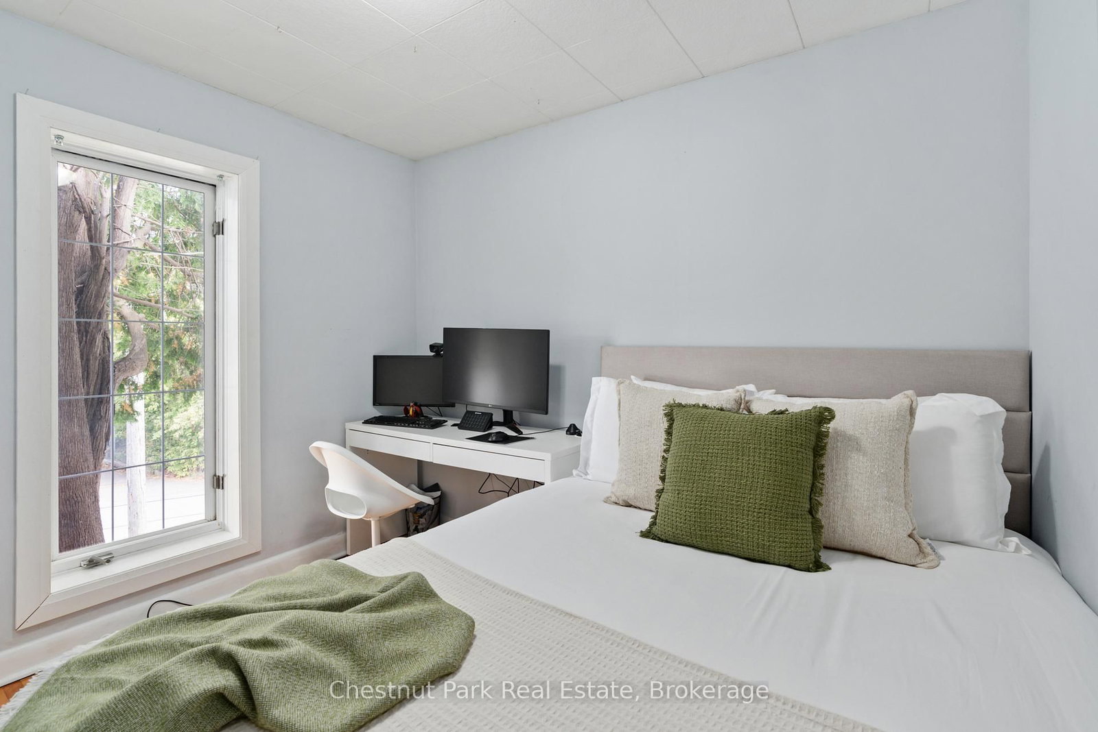3 CORA Street E • Huntsville, ON photo 26