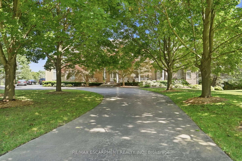 11 Palomino Drive
