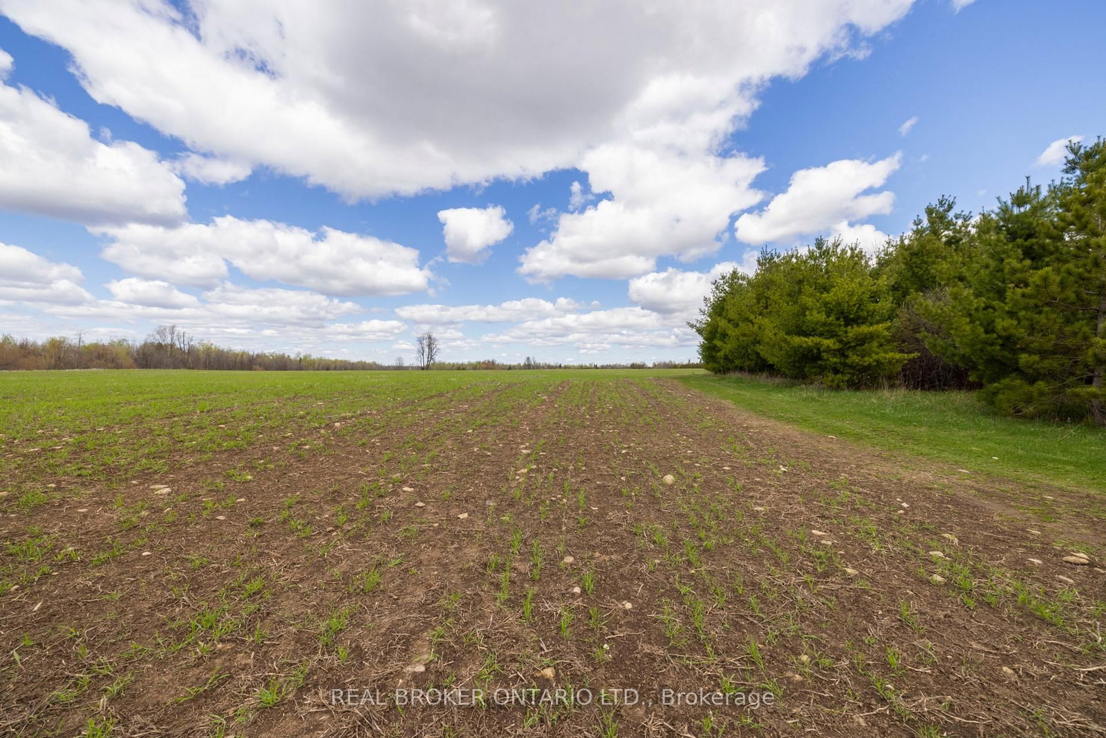 3115 PADEN Road • North Gower, ON photo 35