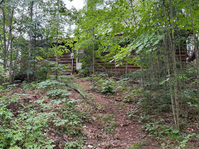1097 Swirlingleaves Lane
