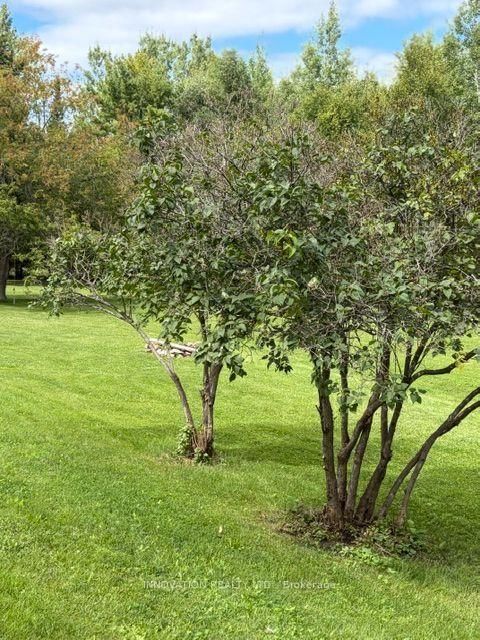 7 Grierson Lane • Ottawa, ON photo 34