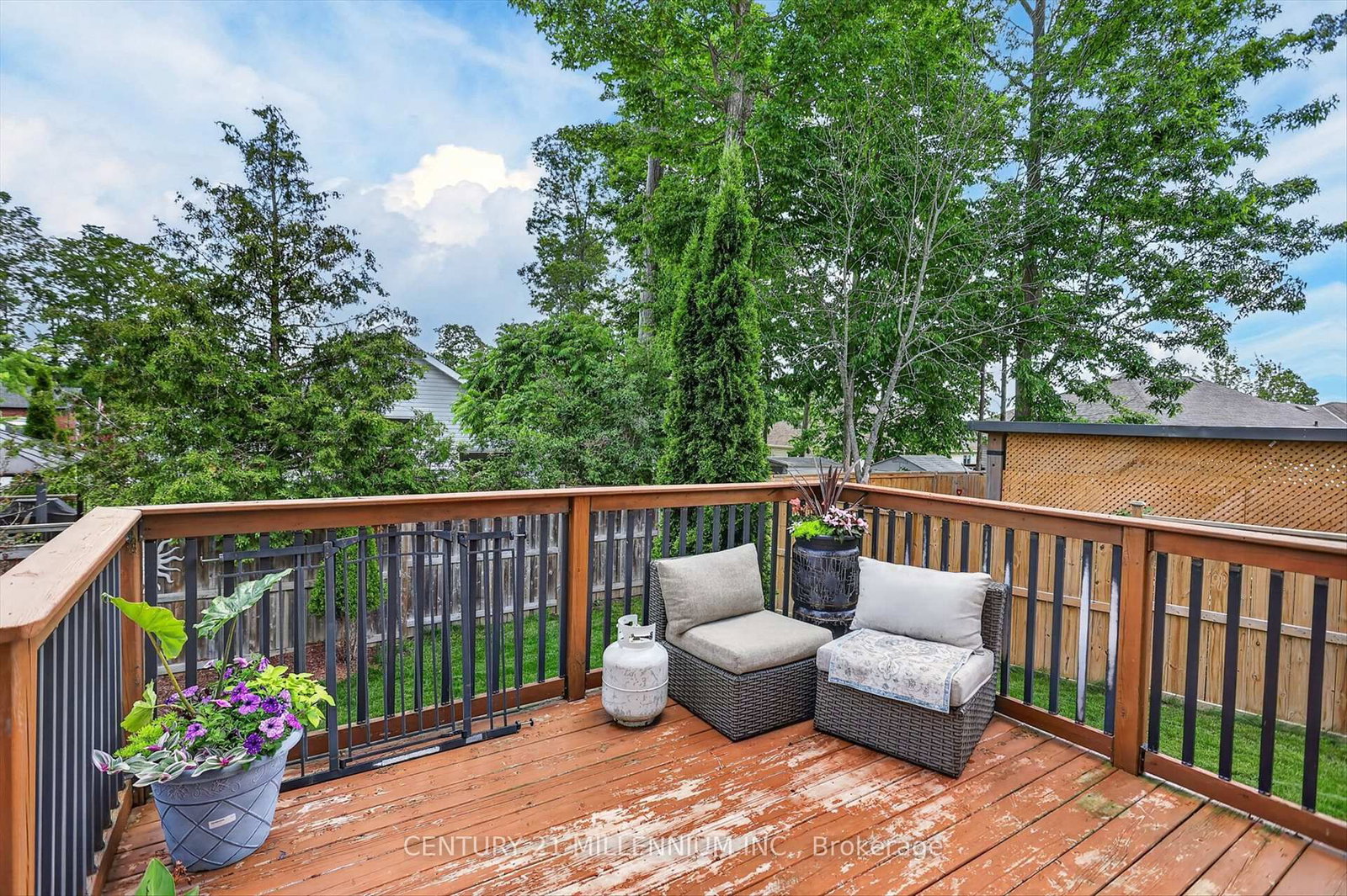 225 Lorne Court • Selwyn, ON photo 39