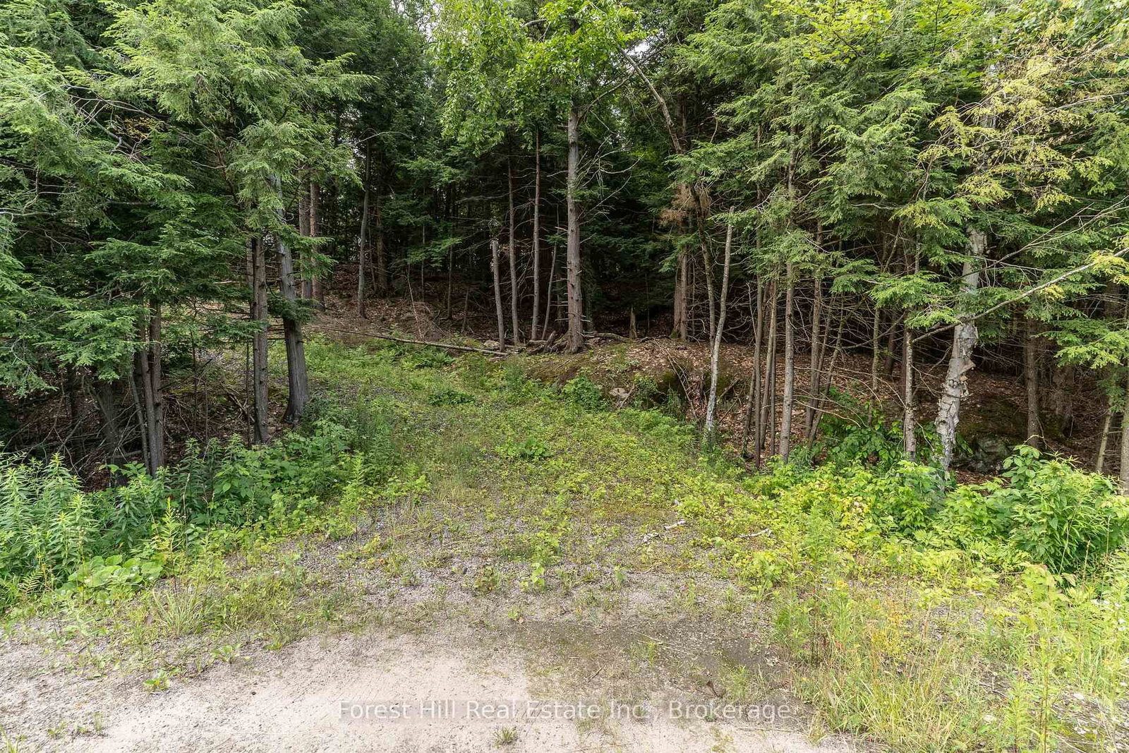 1149 Golden Beach Road • Bracebridge, ON photo 14