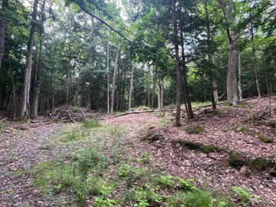 1149 Golden Beach Road • Bracebridge, ON photo 4