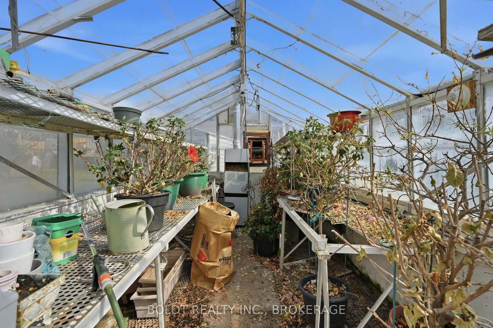 16 Grammar Avenue • St. Catharines, ON photo 39