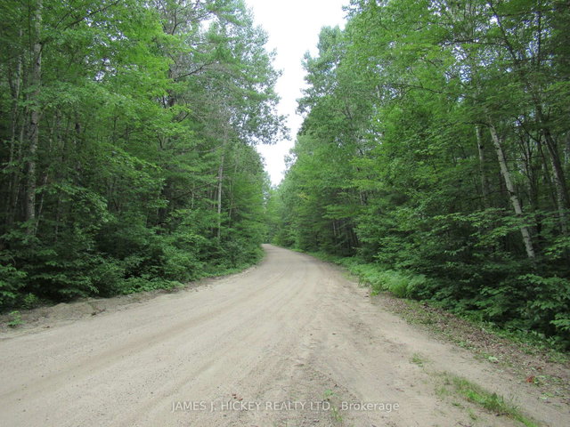 601 MACKEY CREEK Road
