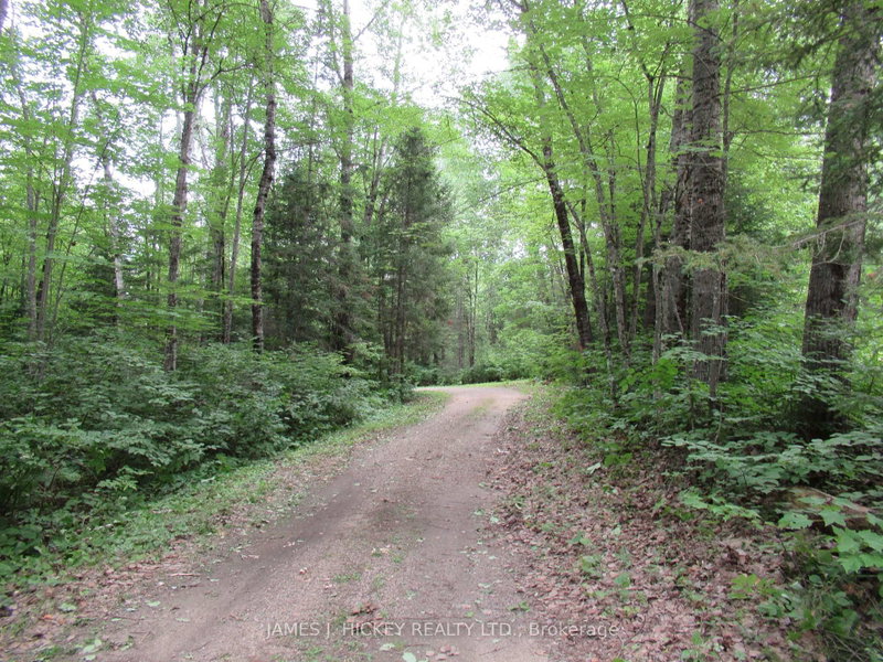 601 MACKEY CREEK Road