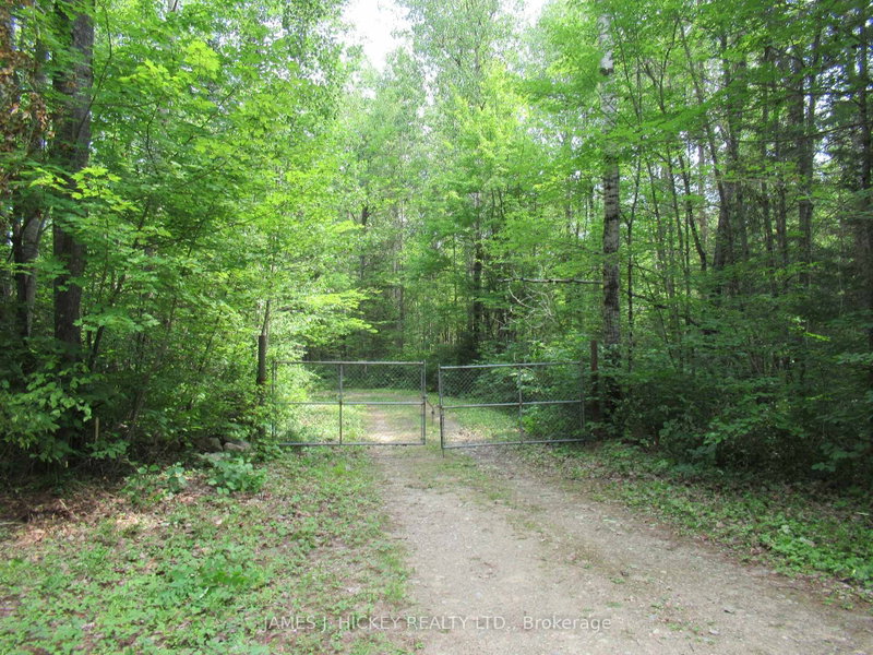 601 MACKEY CREEK Road