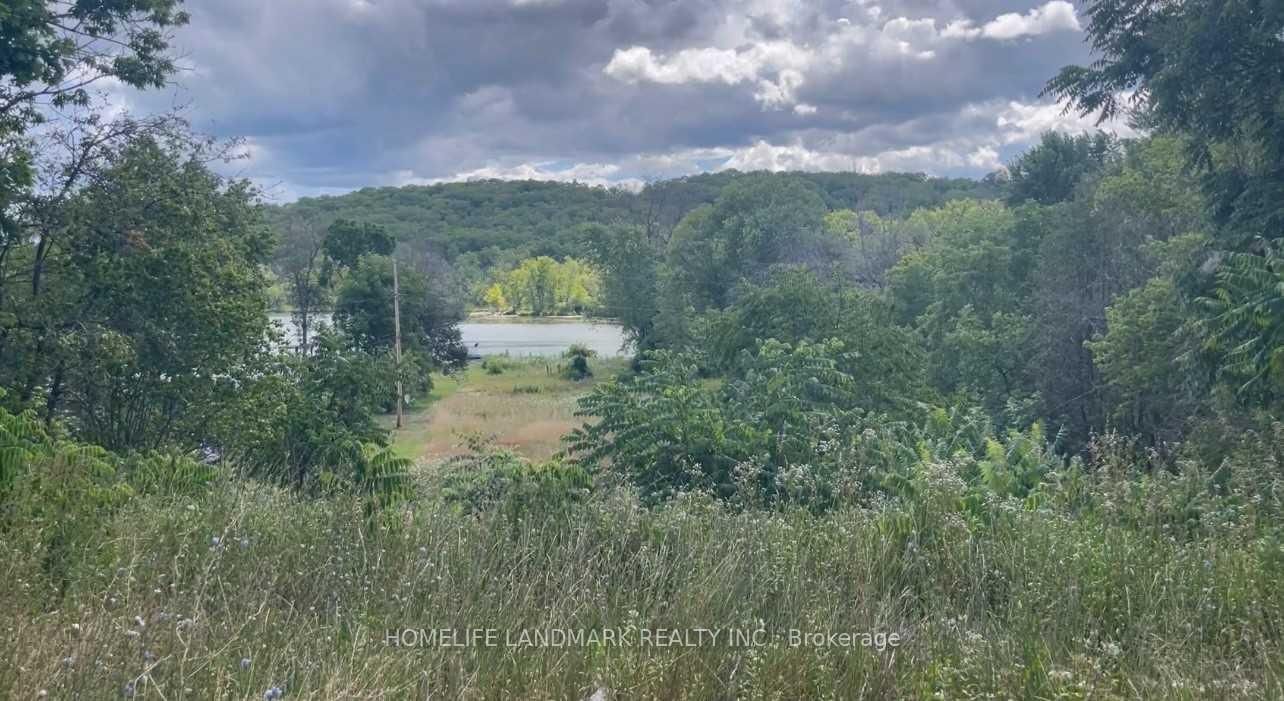 1355 County Rd 45 • Asphodel-Norwood, ON photo 6