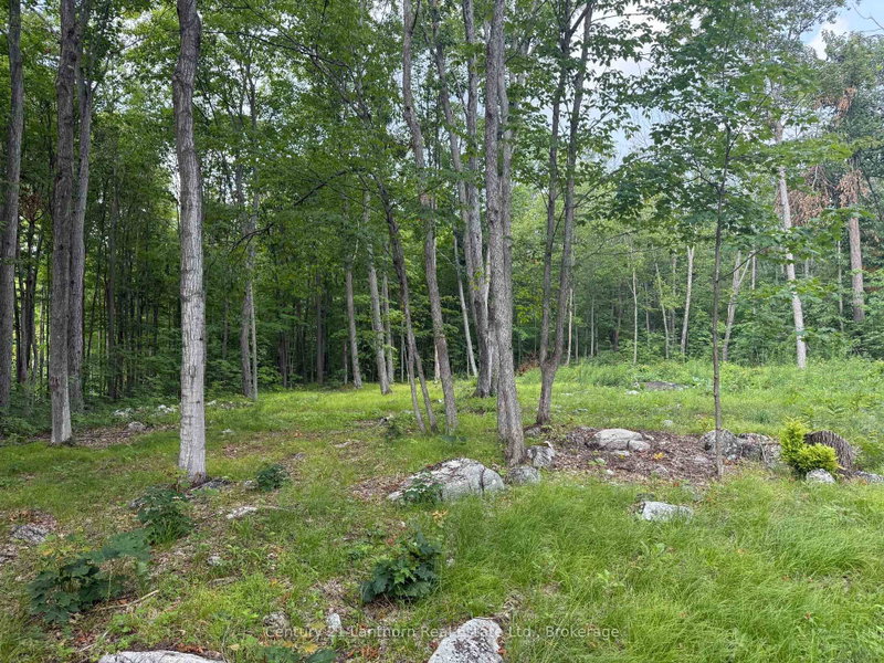 554 Pigden Road