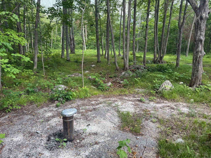 554 Pigden Road