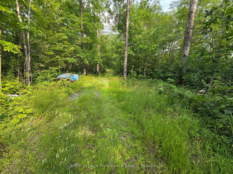 1446 Flinton Road