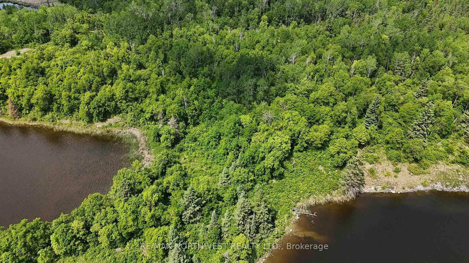 LOT 13 BIG NARROWS ISLAND LAKE OF THE WOODS • Kenora Remote Area, ON photo 9