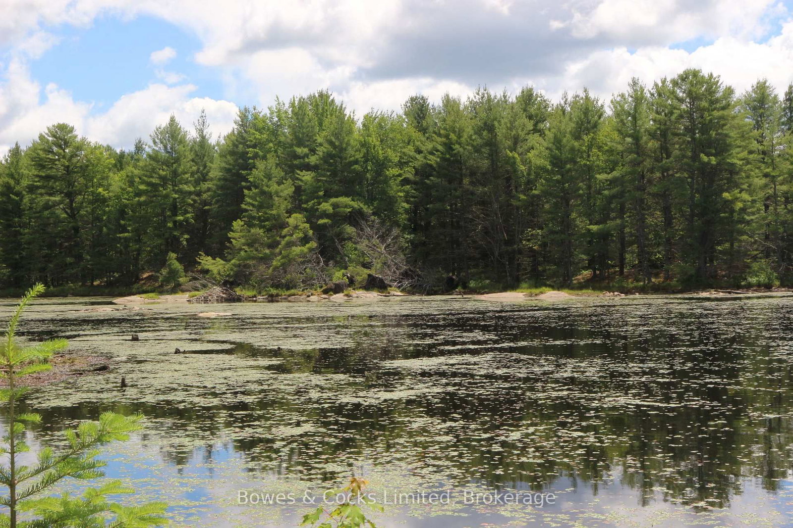 1849 Bordenwood Road • Arden, ON photo 36