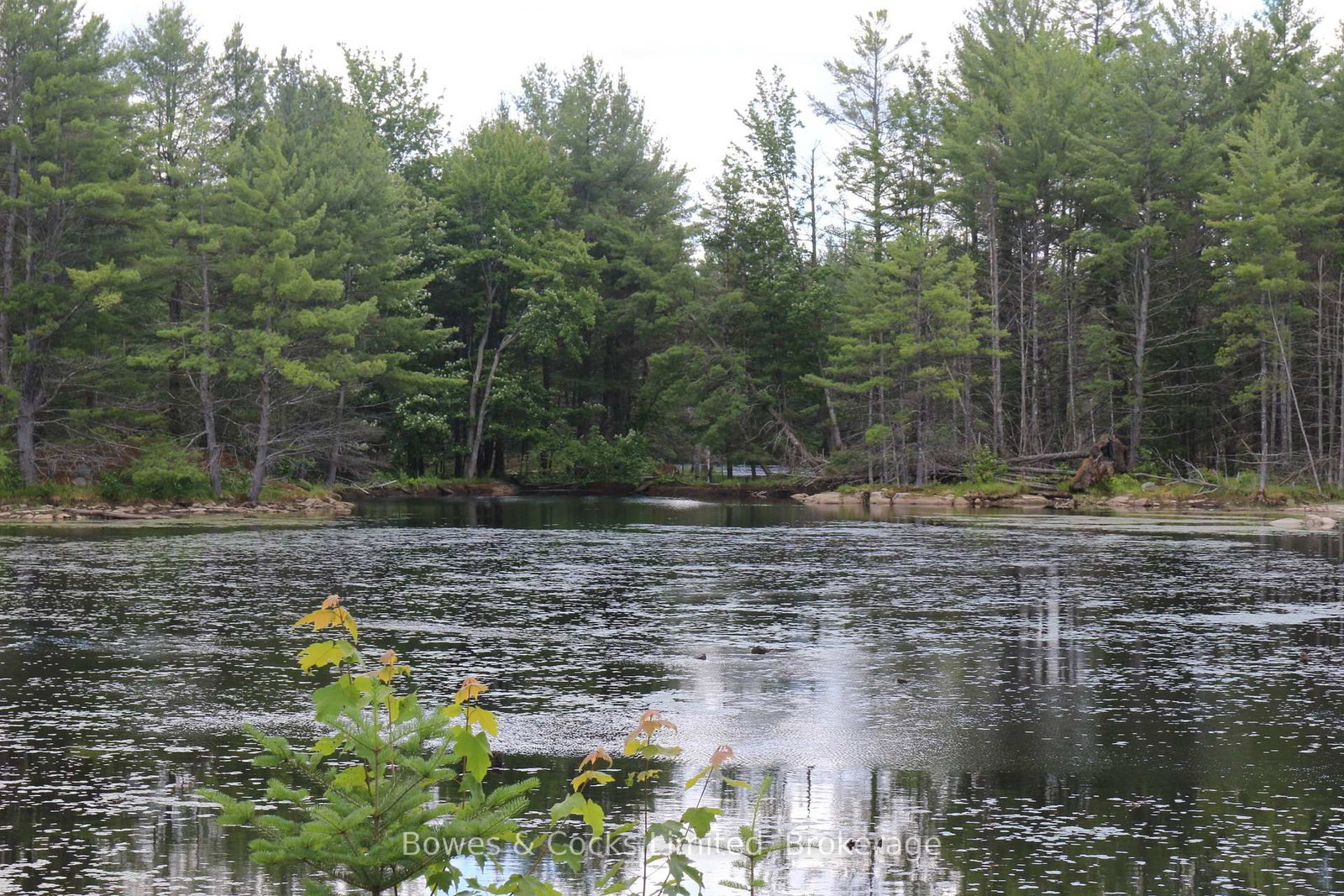 1849 Bordenwood Road • Arden, ON photo 38