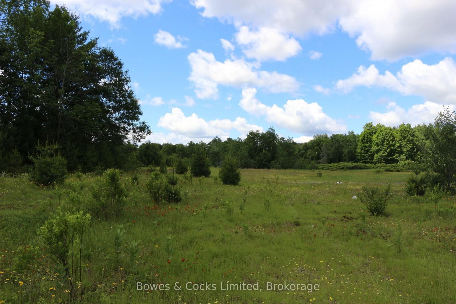 1849 Bordenwood Road • Arden, ON photo 39