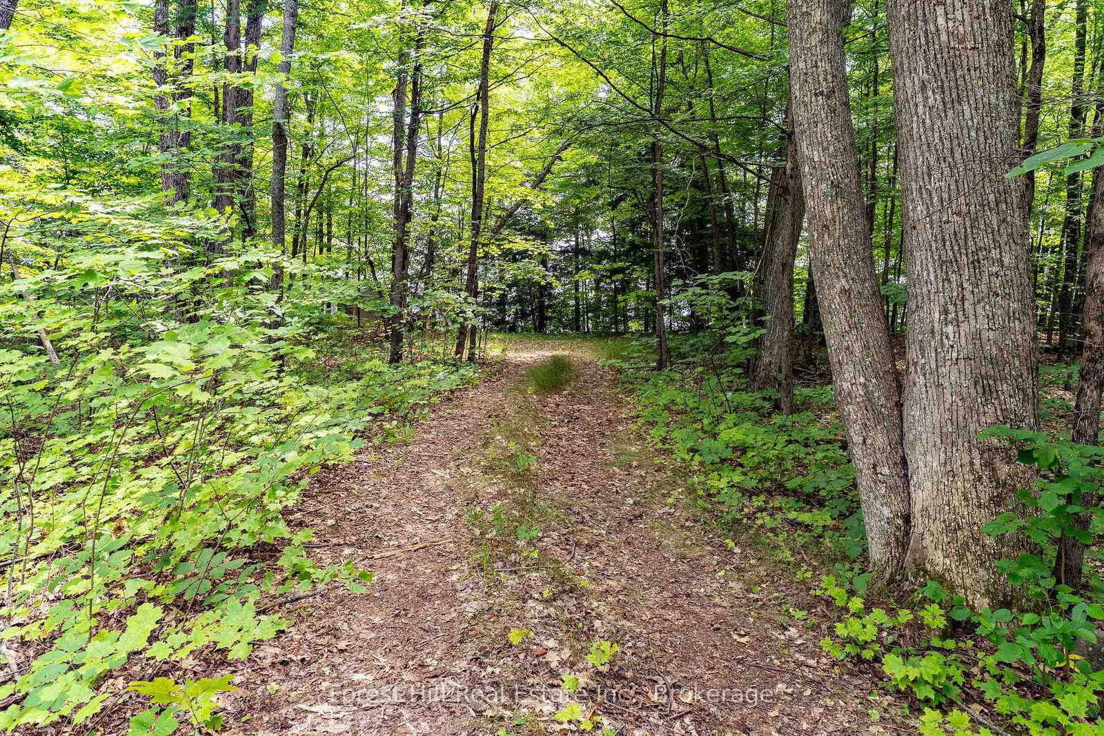 191 Long Point Road • Huntsville, ON photo 14