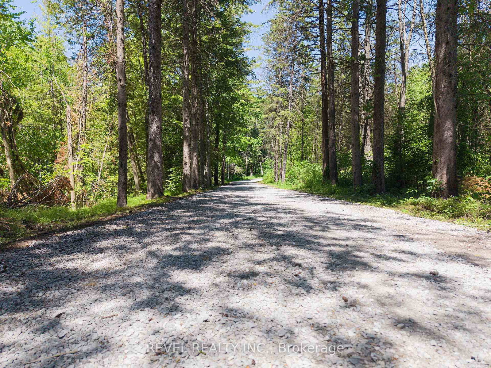 1521 Windham Road 19 • Norfolk, ON photo 36
