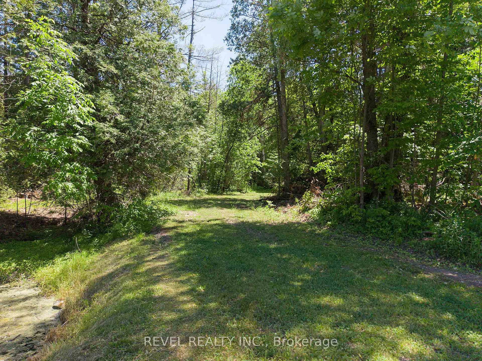 1521 Windham Road 19 • Norfolk, ON photo 38