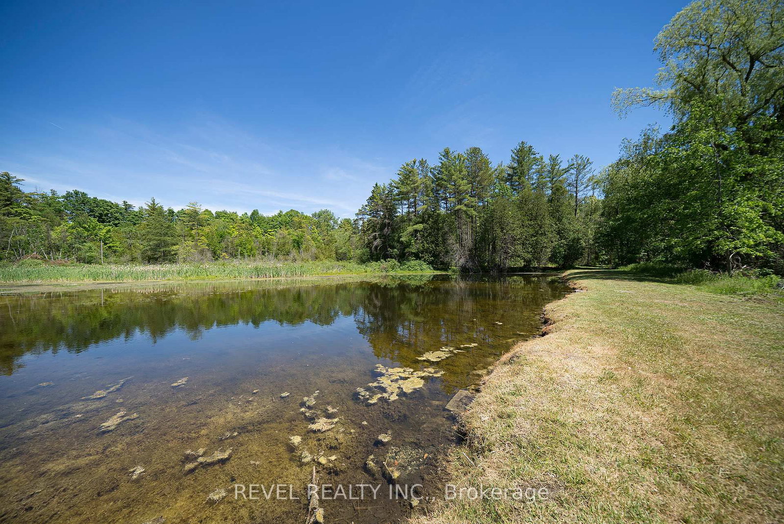 1521 Windham Road 19 • Norfolk, ON photo 39