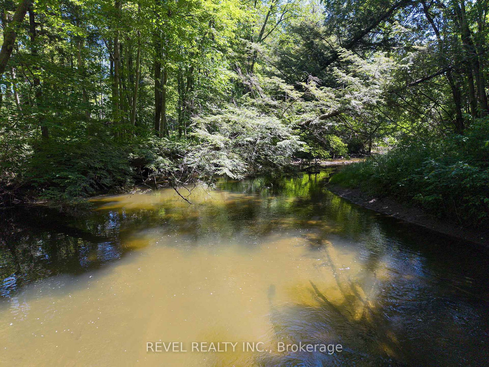 1521 Windham Road 19 • Norfolk, ON photo 40