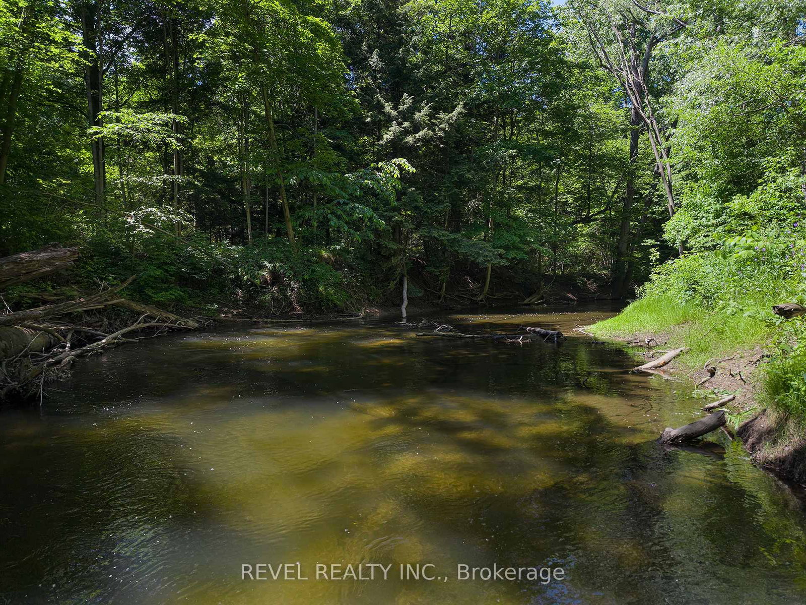 1521 Windham Road 19 • Norfolk, ON photo 42