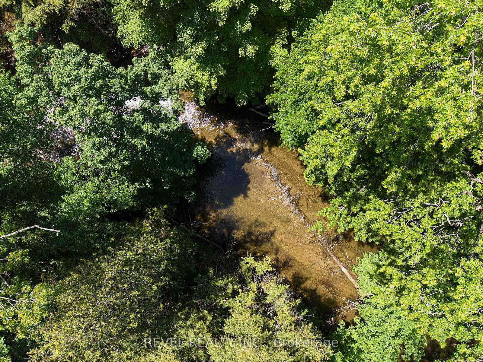 1521 Windham Road 19 • Norfolk, ON photo 43