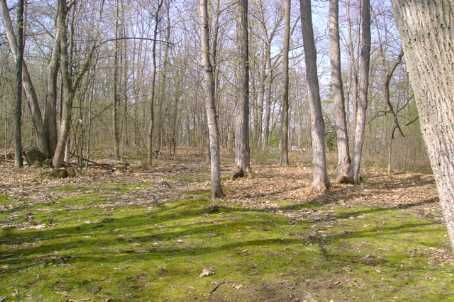 179 Long Island, Otonabee-South Monaghan, K0L1B0 | Image 2