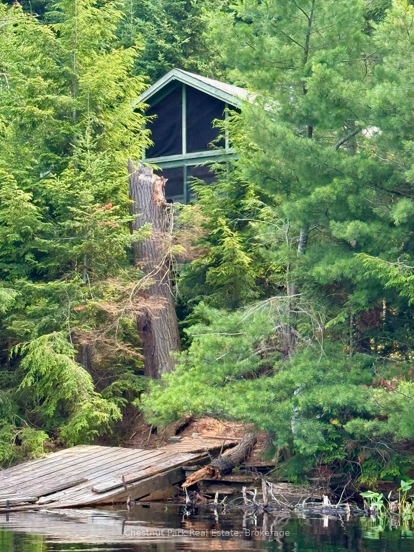 50 Cache Lake APL1322 • South Algonquin, ON photo 10