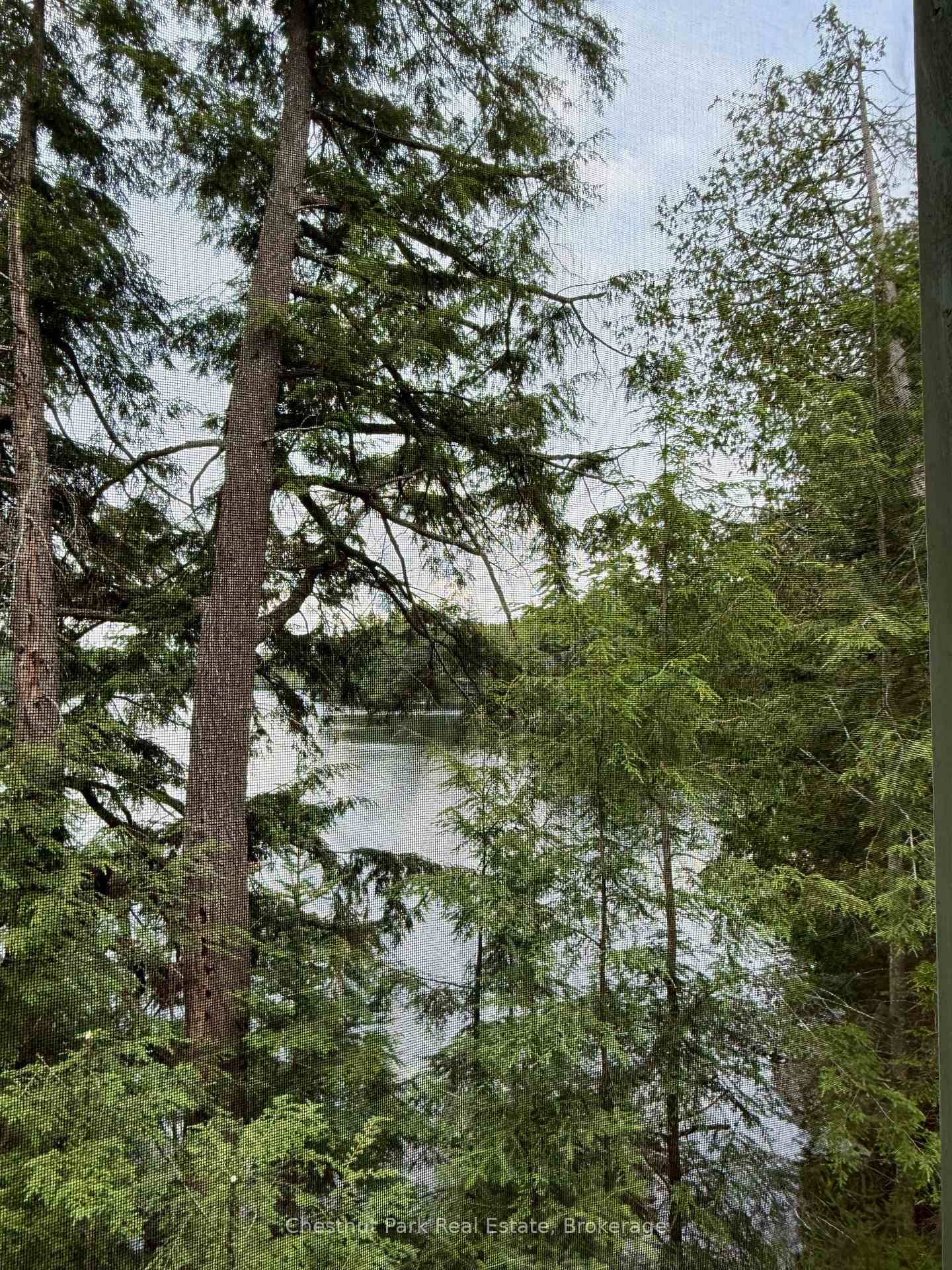 50 Cache Lake APL1322 • South Algonquin, ON photo 19