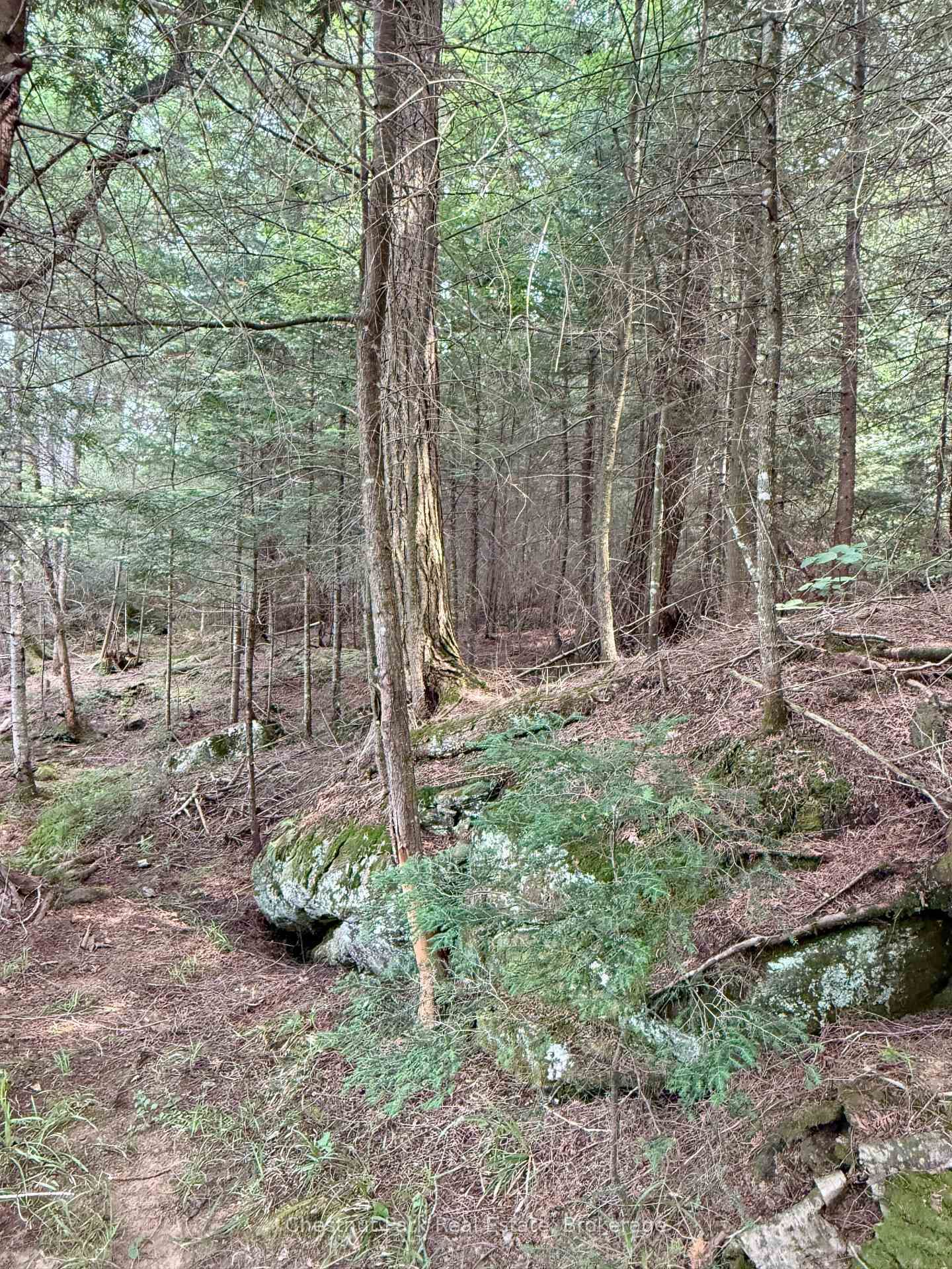 50 Cache Lake APL1322 • South Algonquin, ON photo 24