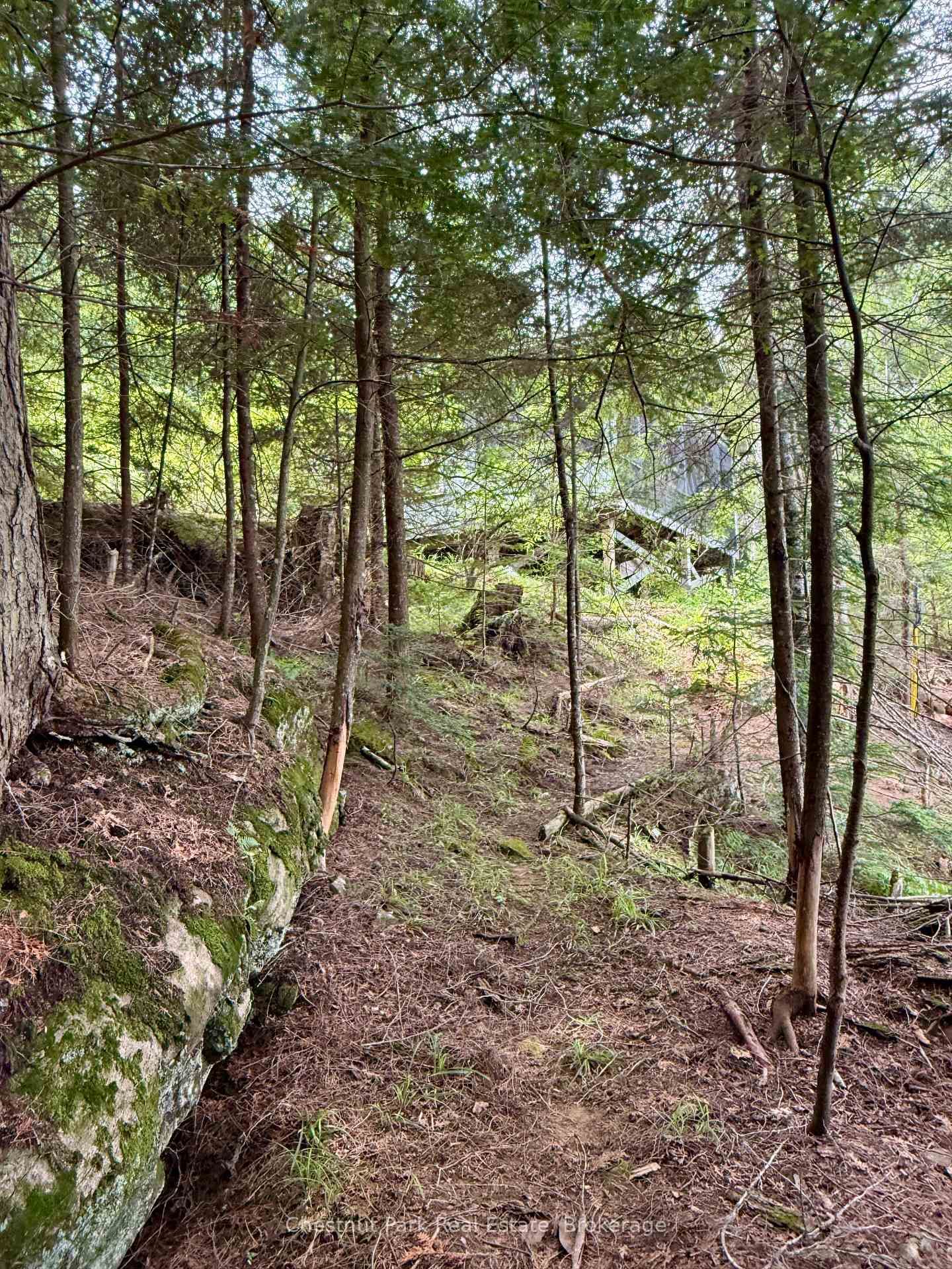 50 Cache Lake APL1322 • South Algonquin, ON photo 37
