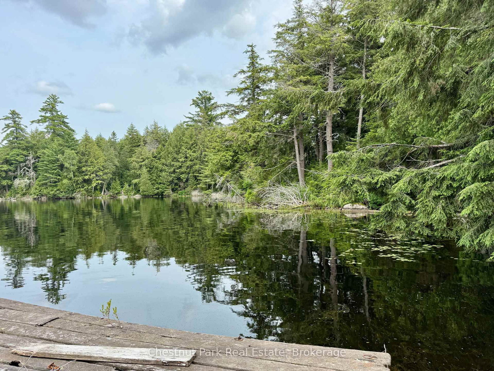 50 Cache Lake APL1322 • South Algonquin, ON photo 40