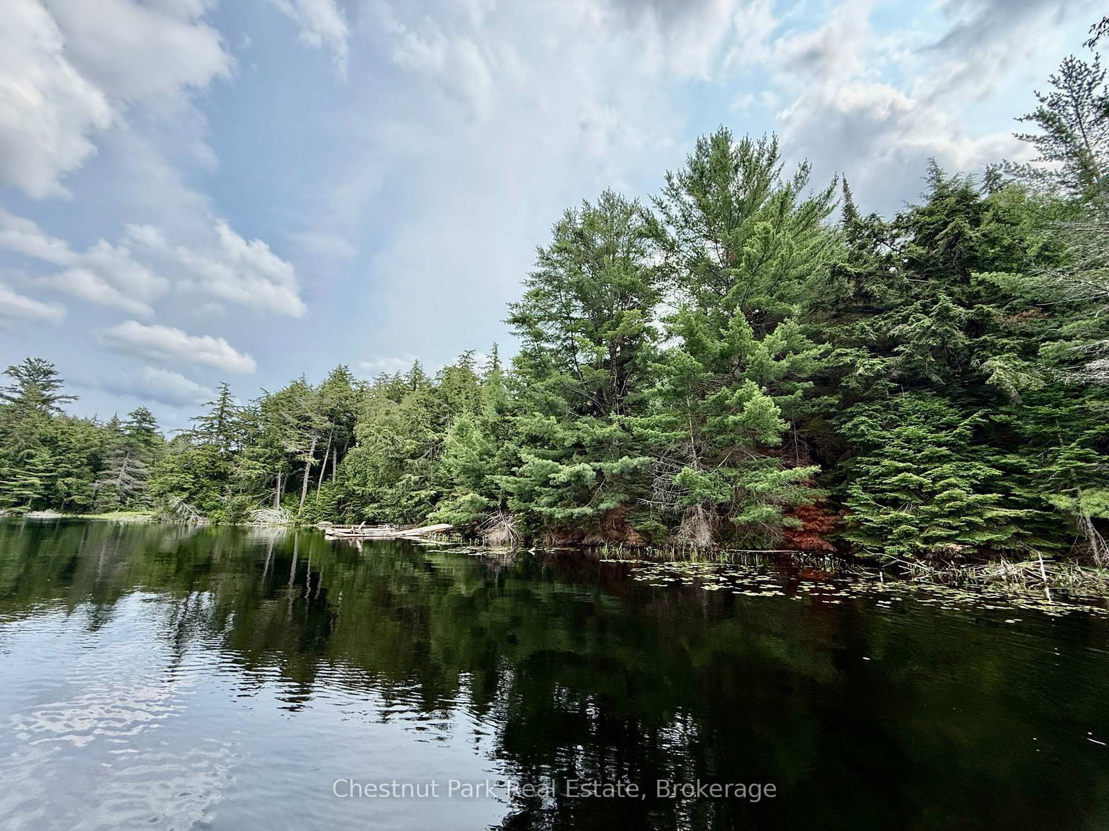 50 Cache Lake APL1322 • South Algonquin, ON photo 7